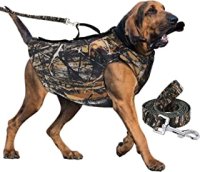 Hunting Dog Equipment